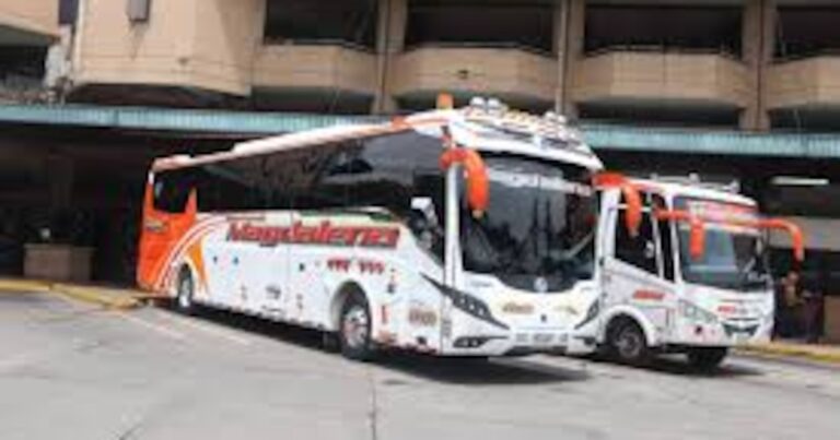 Bus de pasajeros se estrelló de frente contra un camión: habría al menos 12 personas heridas