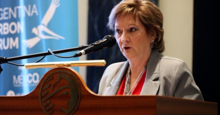 Renunció Ana Lamas, subsecretaria de Ambiente de la Nación, por «agotamiento»