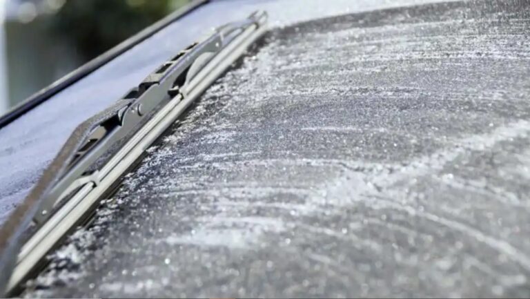 Clima invernal en Florida: las ciudades que más sufren el impacto del frío