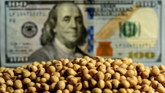 El campo sigue siendo motor de la economía: en 2024 aportó 6 de cada 10 dólares de exportaciones