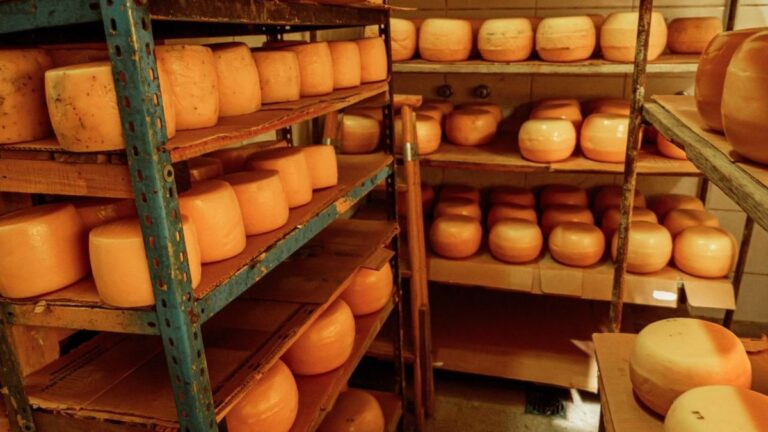 Sancor rematará más de 43 mil kilos de quesos para pagarle a sus acreedores