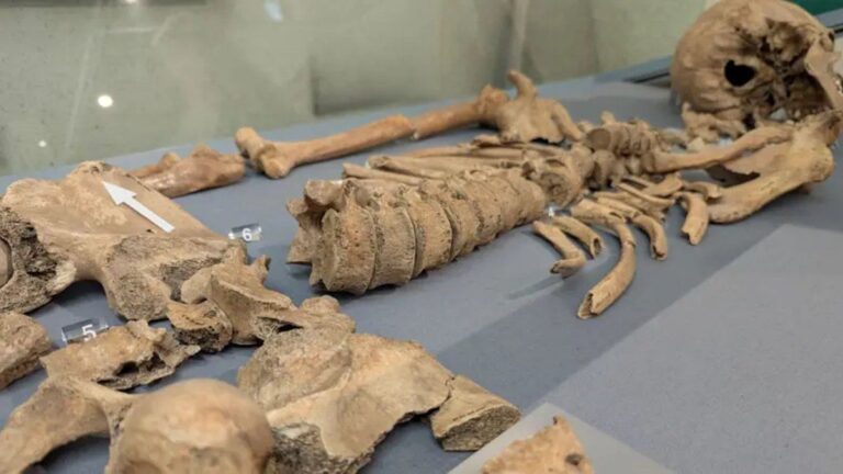 Por primera vez, hay evidencia arqueológica de un combate entre un gladiador y un león