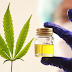 Cannabis medicinal: cambian los requisitos para anotarse en el Reprocann