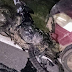 Motociclista pierde la vida tras un choque múltiple en Ibarlucea