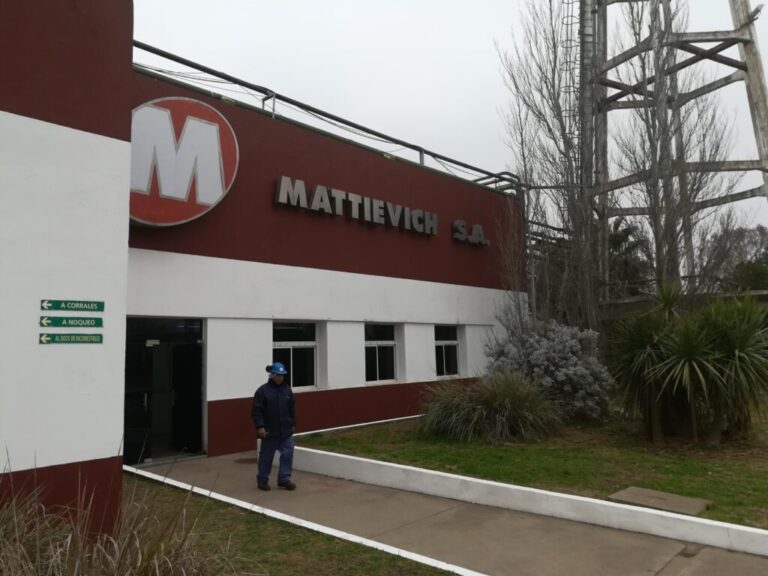 El Grupo Lequio compra Mattievich y se convierte en un gigante de la carne argentina