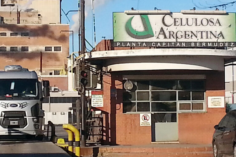 La propuesta de Celulosa