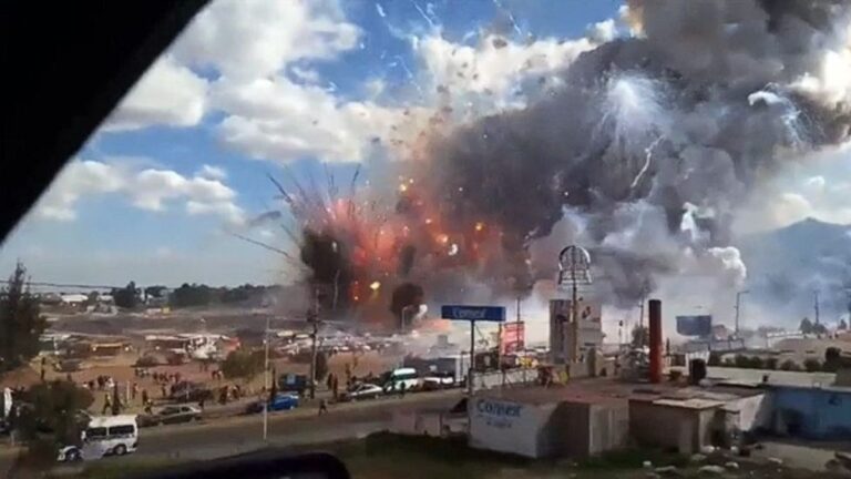 Ballenas explosivas y árboles que atacan, protagonistas de una nueva serie que promete impacto