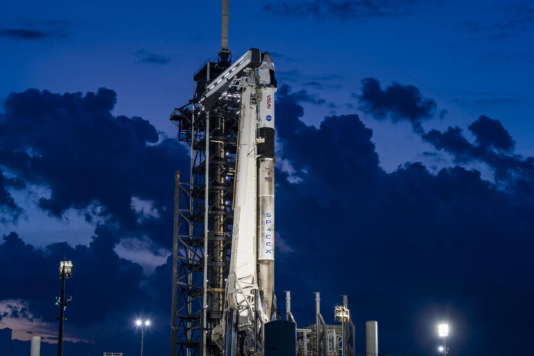 Científicos argentinos investigarán semillas de maní que viajarán al espacio en una misión tripulada por la NASA y Space X