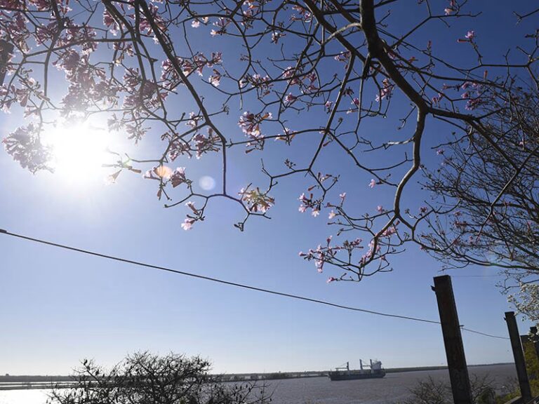 Tiempo en Rosario: lunes con cielo de parcialmente a algo nublado