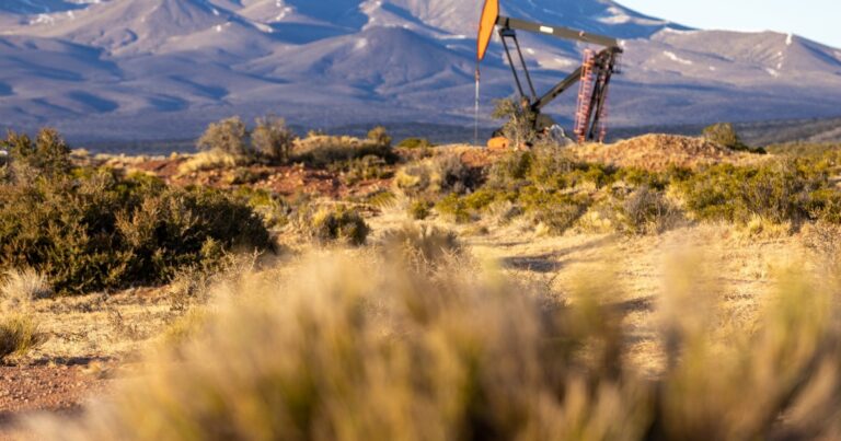 El Gobierno apuesta al RIGI para atraer dólares: los siete proyectos confirmados por US$ 13 millones y las inversiones en análisis