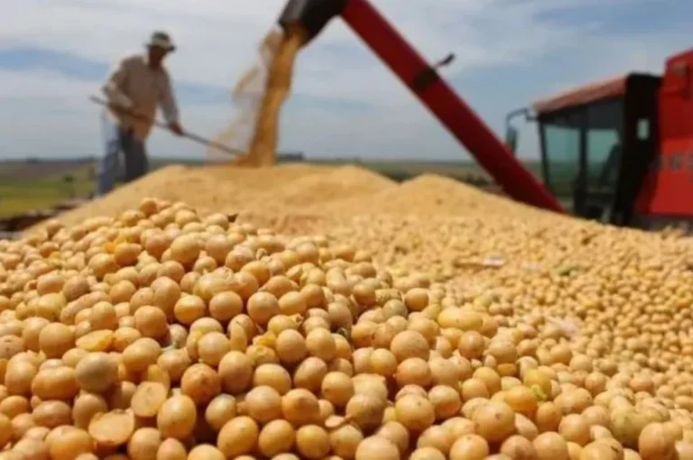 Cuáles son los productos con retenciones cero hasta el 31 de octubre