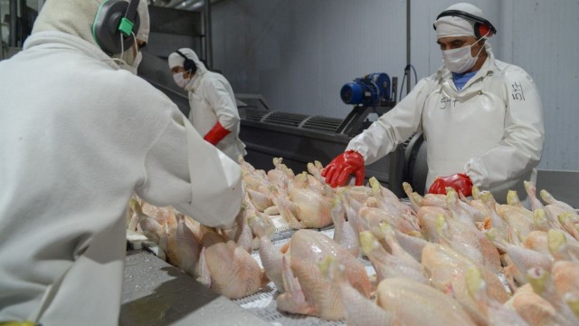 Un gobernador bajó ingresos brutos a los pollos y lanza subsidios al arroz