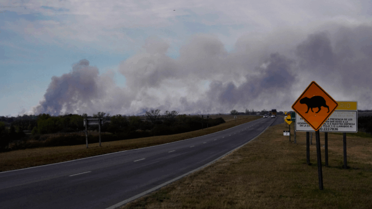 Alerta de humo: los incendios en las islas alcanzaron el mayor nivel en lo que va de 2025