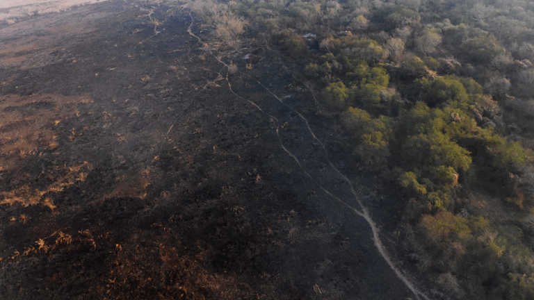 Avance clave en la causa civil por los incendios en las islas: volverá al Juzgado de Victoria