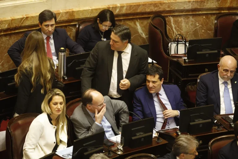 Rechazan los vetos a las leyes de universidades y Garrahan