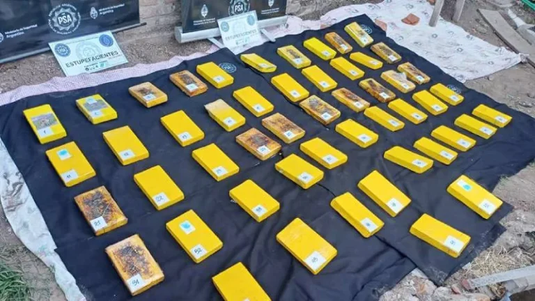 De Bolivia al consumidor, sin intermediarios: procesan a 13 integrantes de banda que importaba y vendía al menudeo