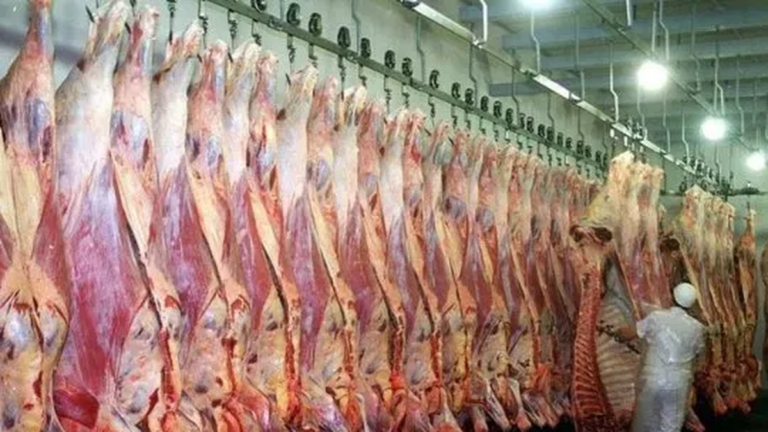 Problemas para Argentina? China aplica aranceles del 55% a las importaciones de carne vacuna excedente