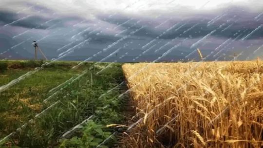 Limitaciones en el potencial productivo del agro ante la falta de lluvias: Estamos para empezar a ver un techo