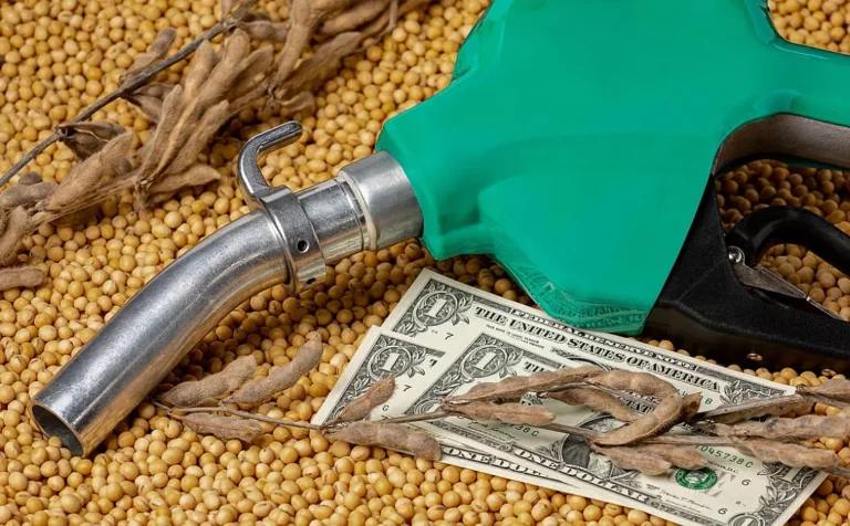 Europa endurece normativas ambientales y peligran las exportaciones argentinas de aceite y biodiesel de soja