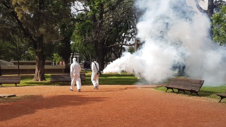 Rosario atraviesa un verano con pocos mosquitos: cuáles son los factores de esta temporada