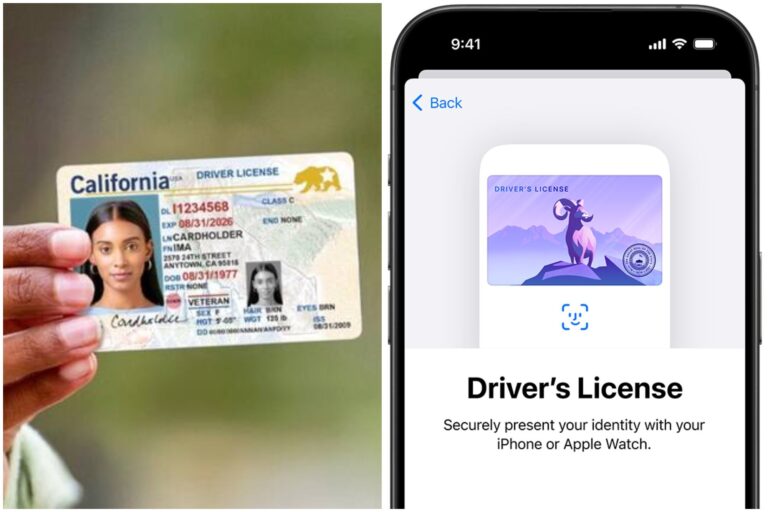 Adiós al plástico: la lista de estados donde ya es legal llevar la licencia de conducir en el iPhone