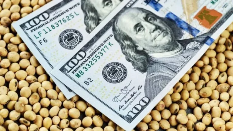 Estiman cosecha y exportación récord del agro pero el ingreso de dólares sería similar al de 2025