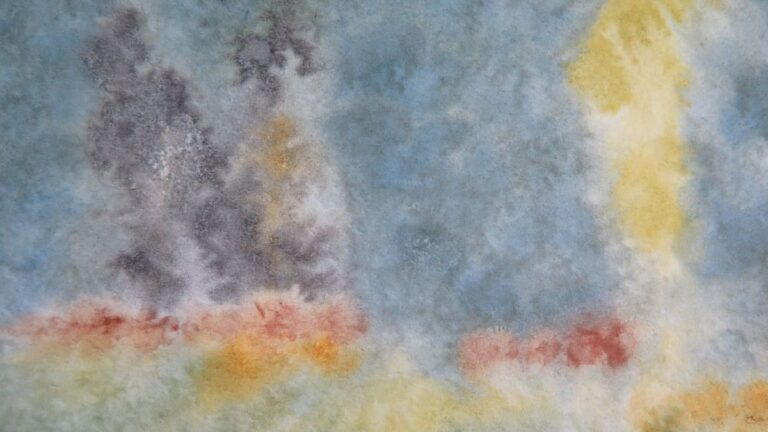 El Museo Estévez inaugura tres exposiciones sobre arte y naturaleza