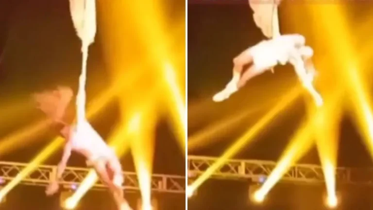 Acróbata realizando una maniobra aérea con tela en un circo (imagen referencial)