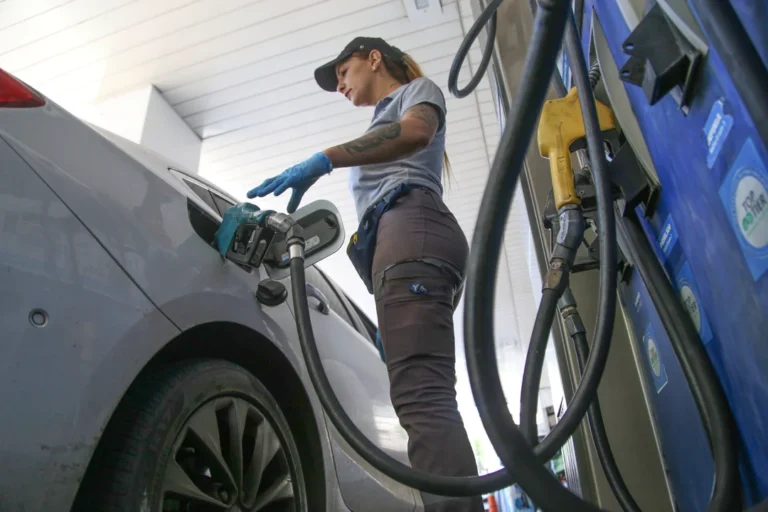 Gráfico comparativo del precio de los combustibles y su composición impositiva en una estación de servicio.