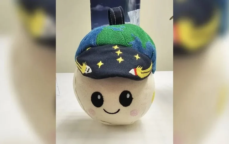 Ilustración del peluche 