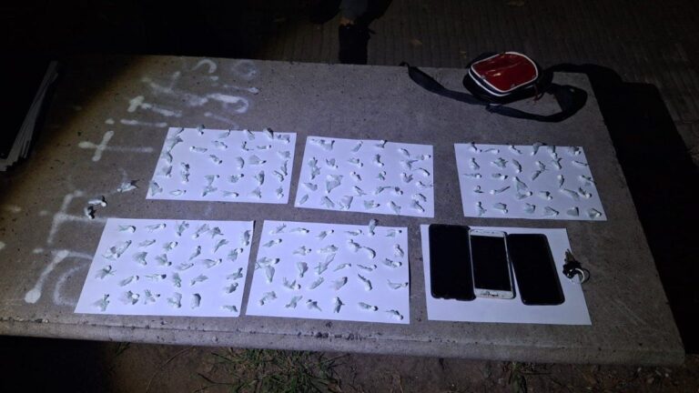 Ilustración de un procedimiento policial nocturno en una calle de la ciudad.