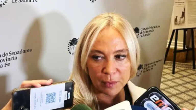 María Cecilia Vranicich, Fiscal General de Santa Fe, durante su exposición en la Legislatura.