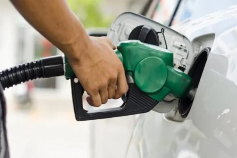 Gráfico ilustrativo de los precios del biodiesel y el petróleo en una estación de servicio.