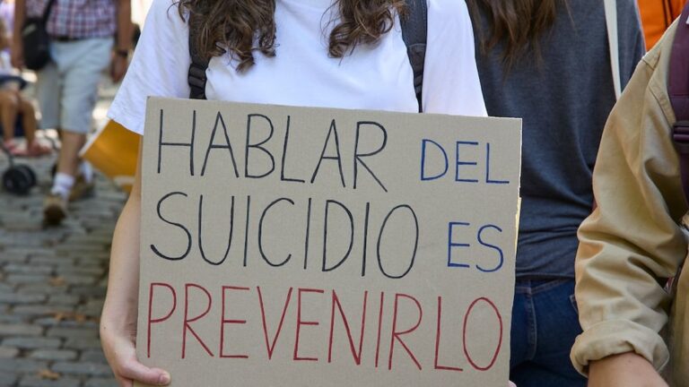 Gráfico estadístico sobre causas de muertes violentas en la provincia de Santa Fe durante el año 2025