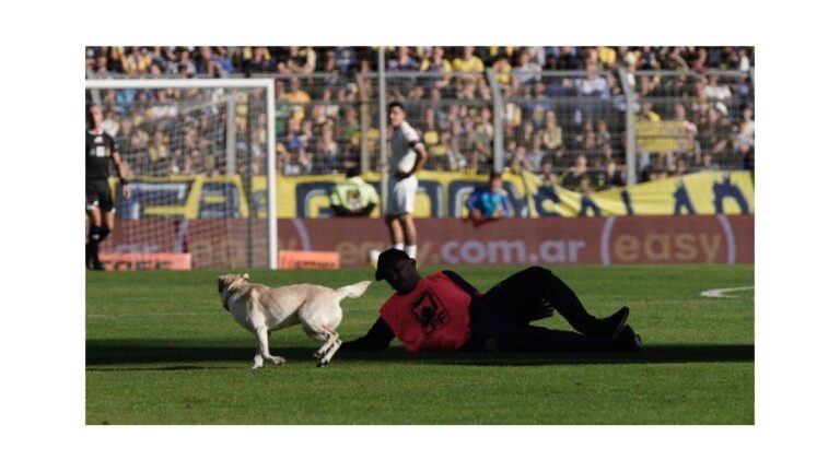 Perro Coco corriendo en el campo de juego del Gigante de Arroyito durante el partido Central-Tigre